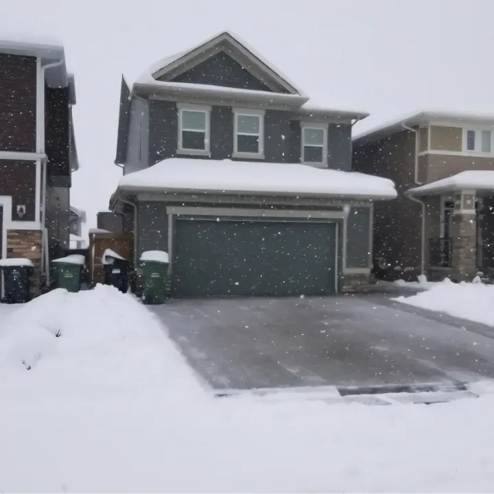 Full Property Clearing